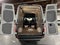 2025 Mercedes-Benz Sprinter Cargo Van 2500 Standard Roof I4 Diesel 144 RWD
