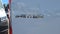 2025 Mercedes-Benz Sprinter Cargo Van 2500 Standard Roof I4 Diesel HO 144 RWD