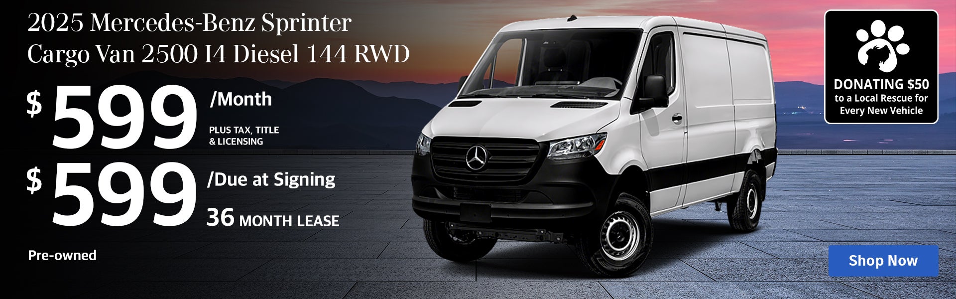 Sprinter