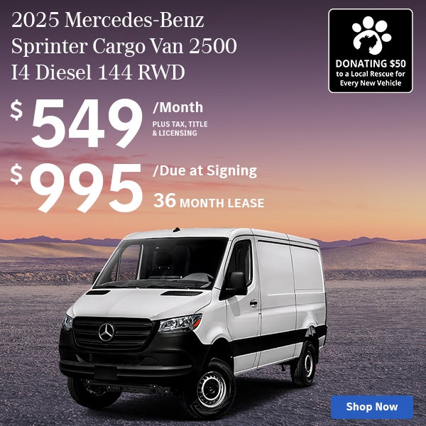 Sprinter
