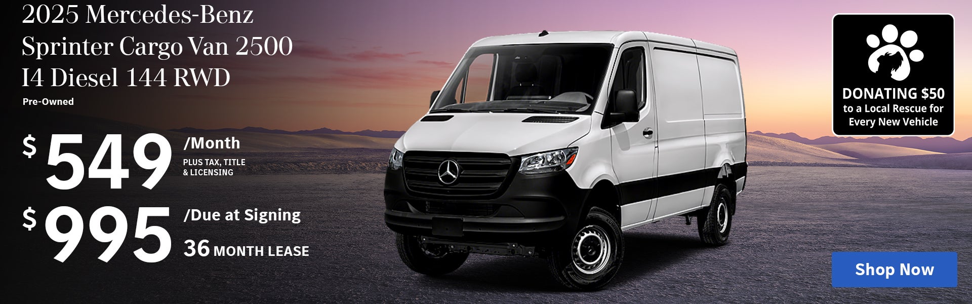 Sprinter
