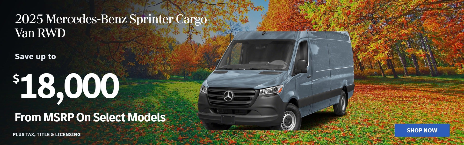 2025 Cargo Van: $18000 off