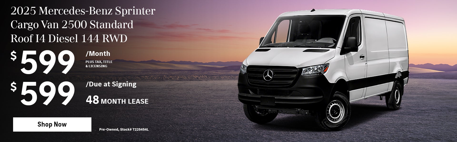 Sprinter